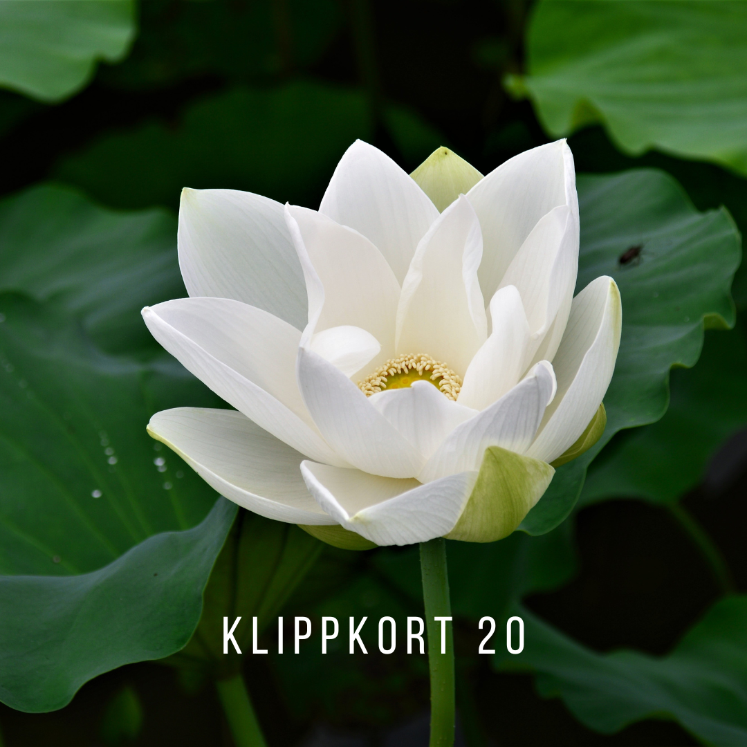 Klippkort 20ggr - Yogastudion Bromma